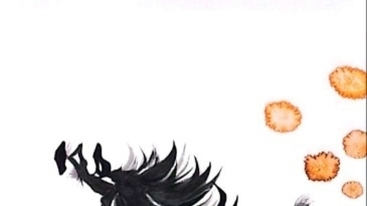 [담화총사 칼럼] 김나은 작가의 “선택의 해, 말은 망설이지 않는다.”